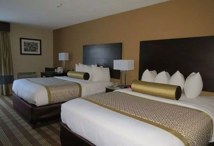 호텔 Best Western Cape Cod