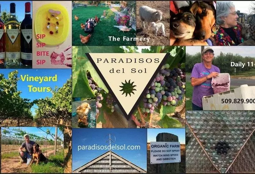 בית מלון כפרי Best Western Plus Vintage Valley Inn