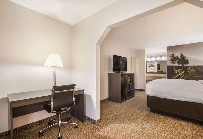 호텔 Clarion Pointe Forsyth I75