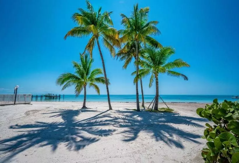 هتل Coco Plum Beach & Tennis Club & Marina