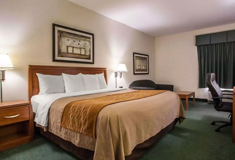 בית מלון כפרי Comfort Inn Alton Near I255