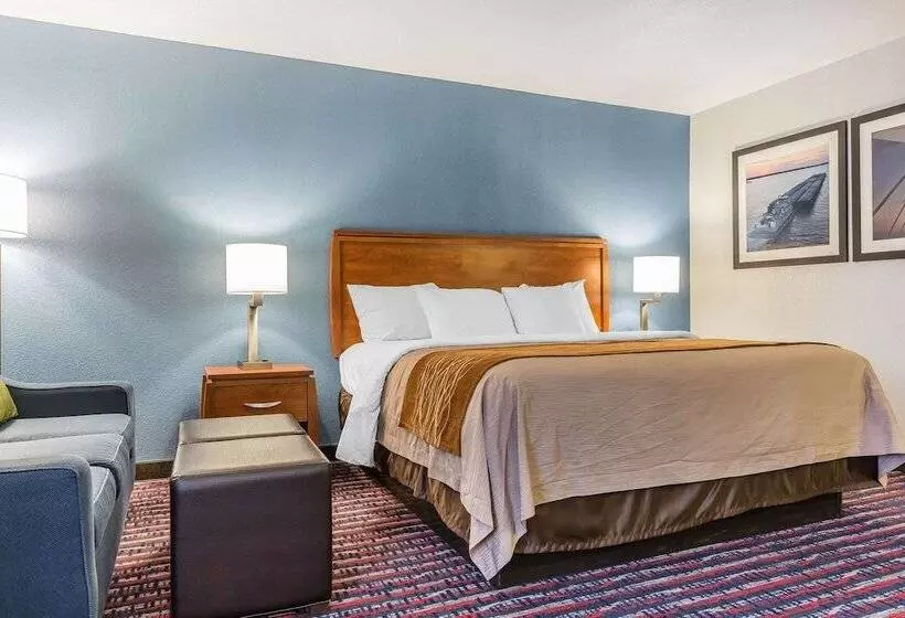 בית מלון כפרי Comfort Inn Alton Near I255