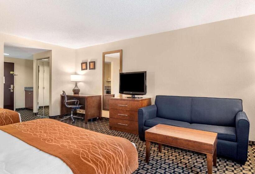Отель Comfort Inn & Suites