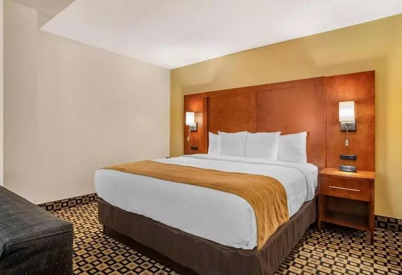 ホテル Comfort Inn & Suites