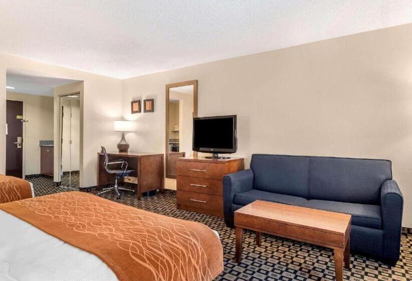 Отель Comfort Inn & Suites