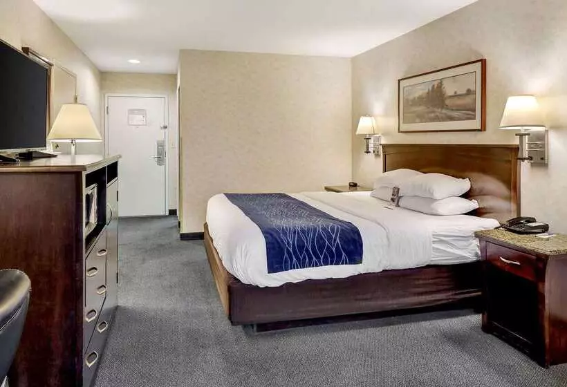 هتل Comfort Inn Bellingham