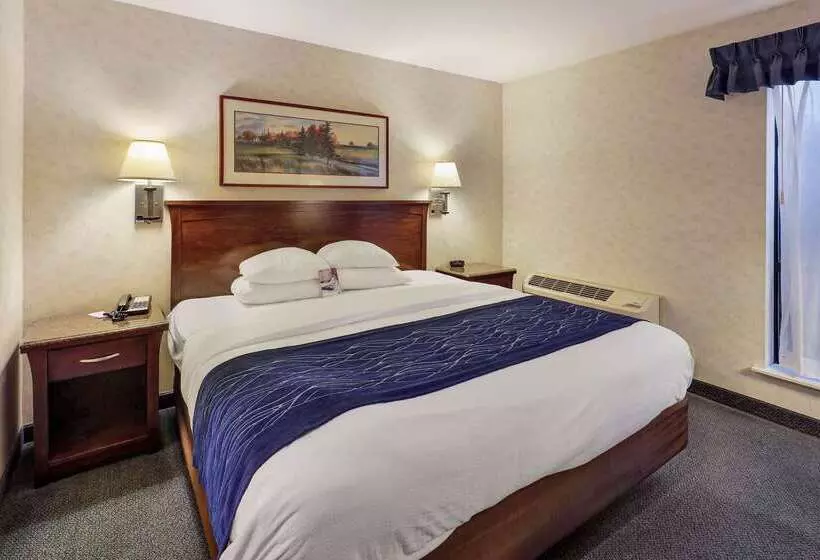هتل Comfort Inn Bellingham