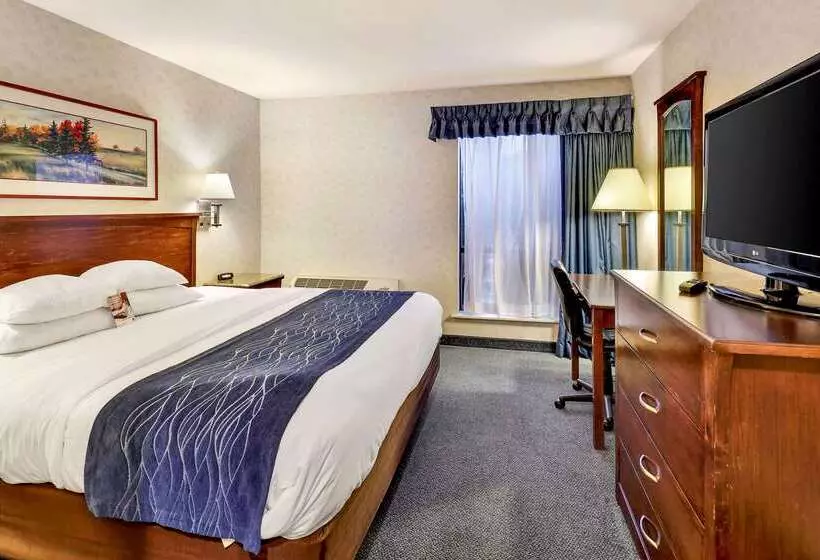 هتل Comfort Inn Bellingham