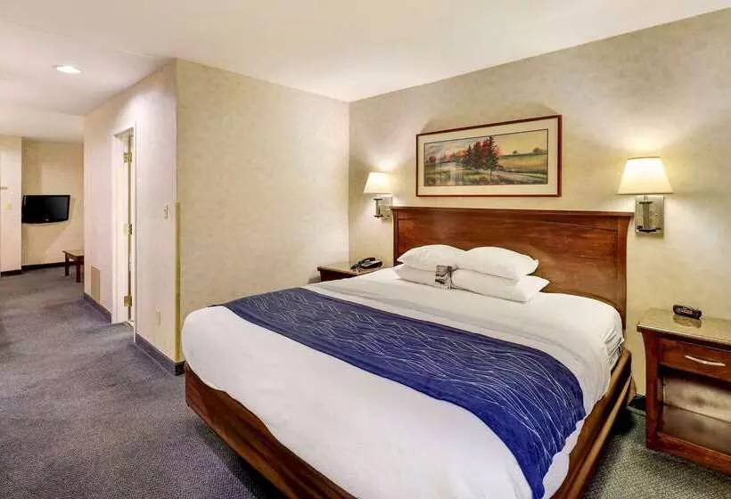 هتل Comfort Inn Bellingham