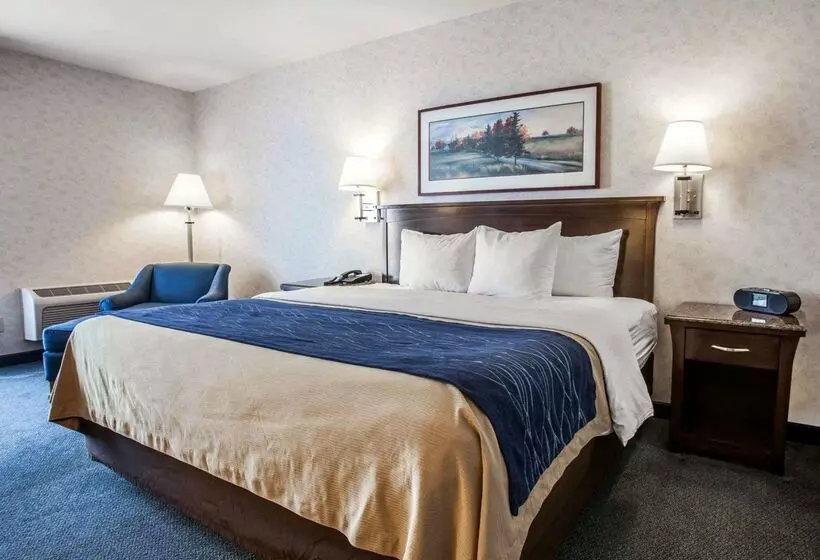 هتل Comfort Inn Bellingham