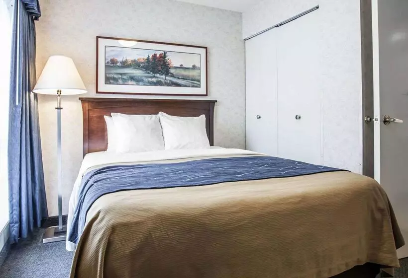 هتل Comfort Inn Bellingham