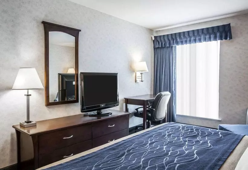 هتل Comfort Inn Bellingham