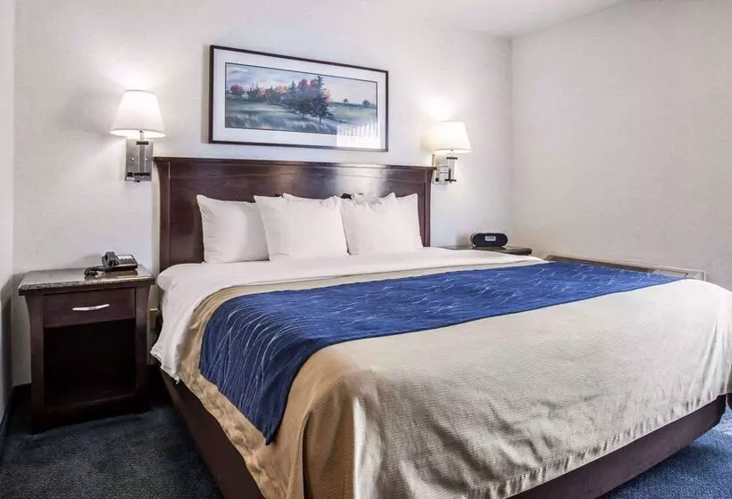 هتل Comfort Inn Bellingham