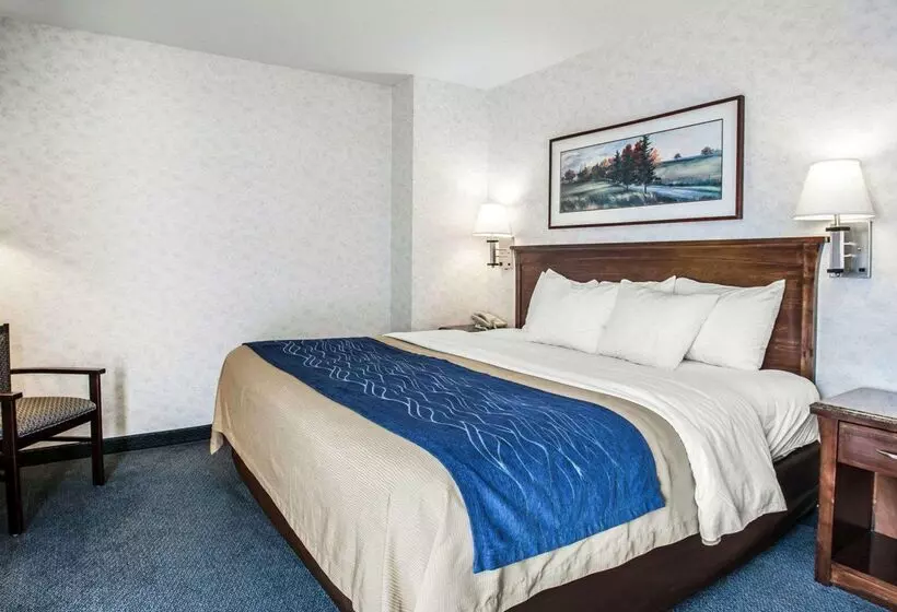هتل Comfort Inn Bellingham