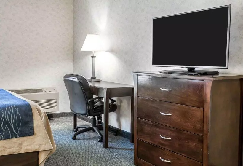 هتل Comfort Inn Bellingham