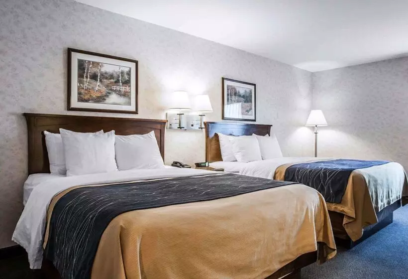 هتل Comfort Inn Bellingham