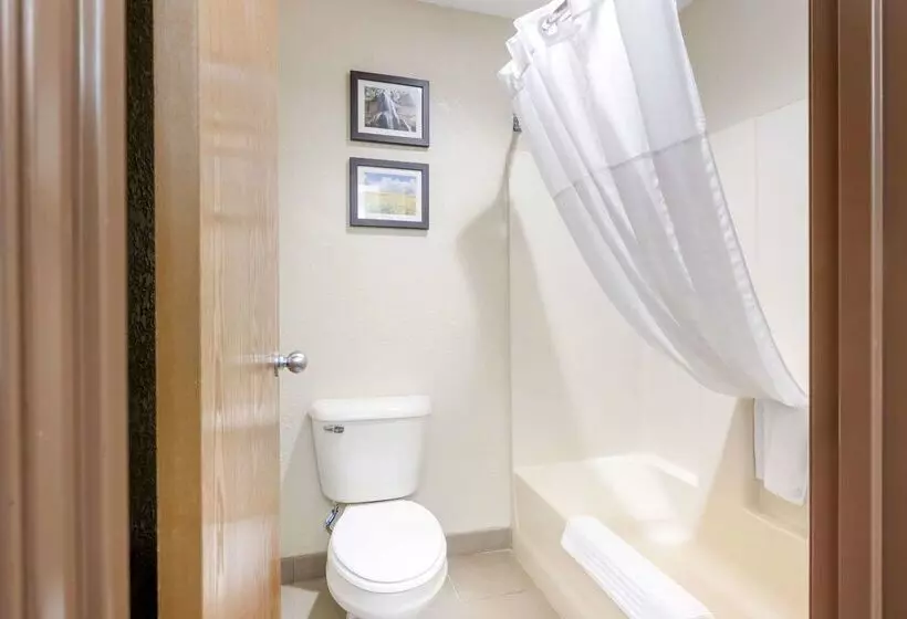 فندق Comfort Inn