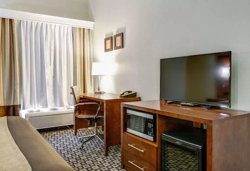 ホテル Comfort Inn & Suites