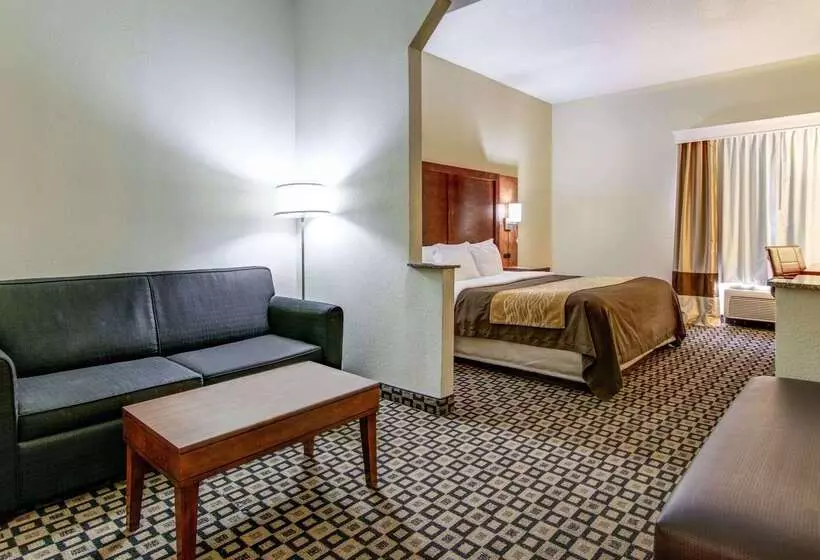 ホテル Comfort Inn & Suites
