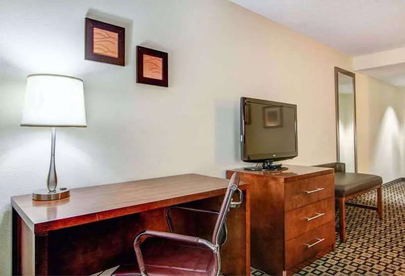 ホテル Comfort Inn & Suites