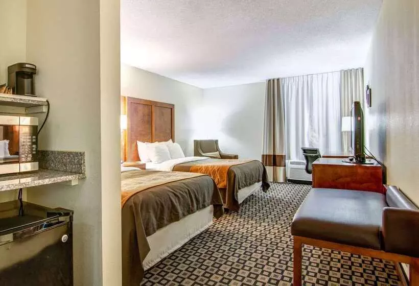 ホテル Comfort Inn & Suites