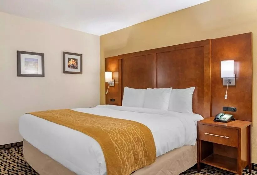 ホテル Comfort Inn & Suites