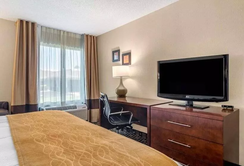 ホテル Comfort Inn & Suites