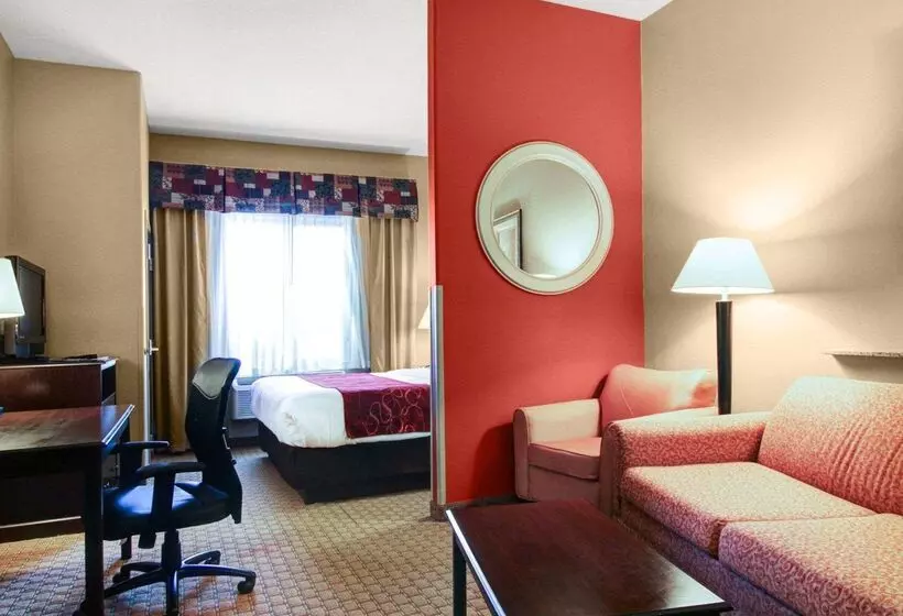 酒店 Comfort Suites Fort Stockton