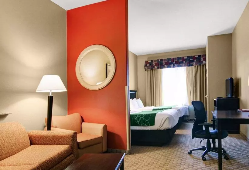 酒店 Comfort Suites Fort Stockton