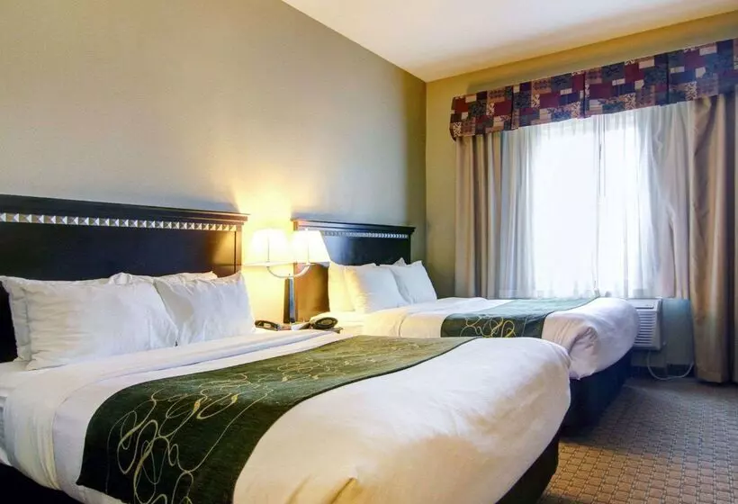 酒店 Comfort Suites Fort Stockton