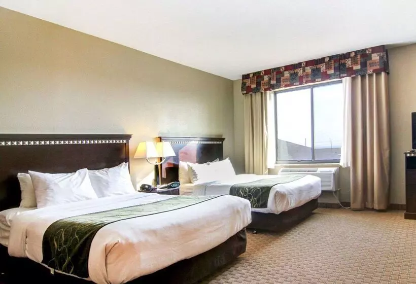 酒店 Comfort Suites Fort Stockton