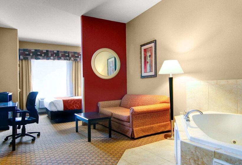 בית מלון כפרי Comfort Suites Fort Stockton