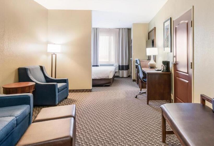 בית מלון כפרי Comfort Suites Fort Stockton