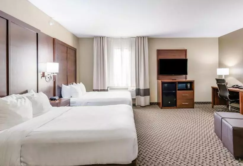 酒店 Comfort Suites Fort Stockton