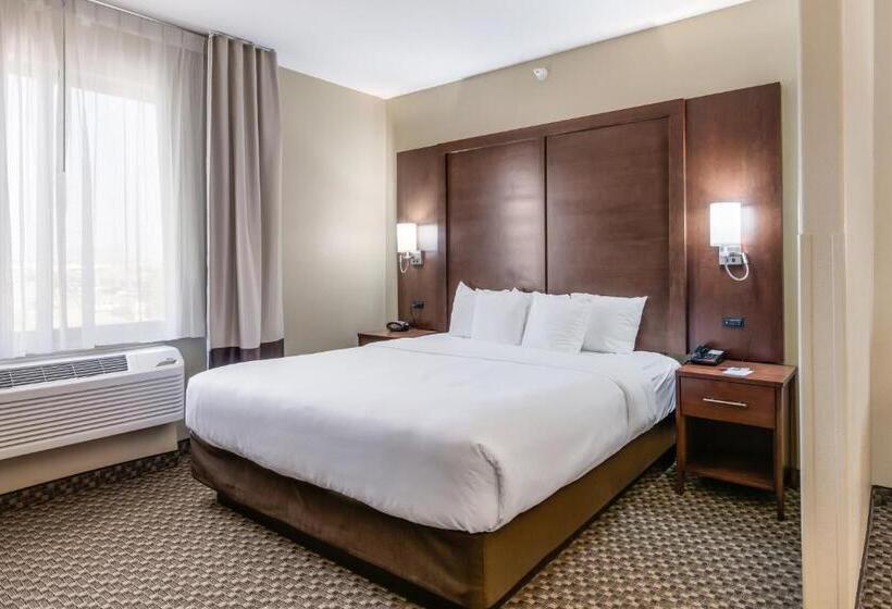 בית מלון כפרי Comfort Suites Fort Stockton