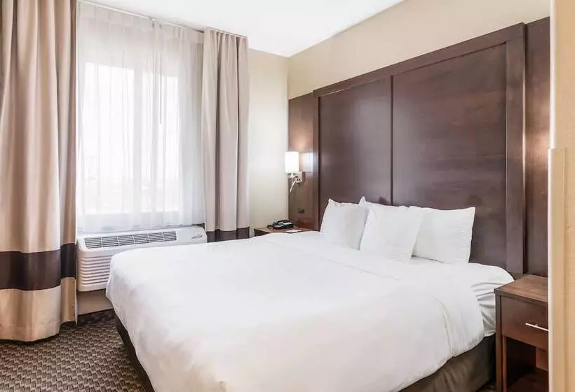 酒店 Comfort Suites Fort Stockton