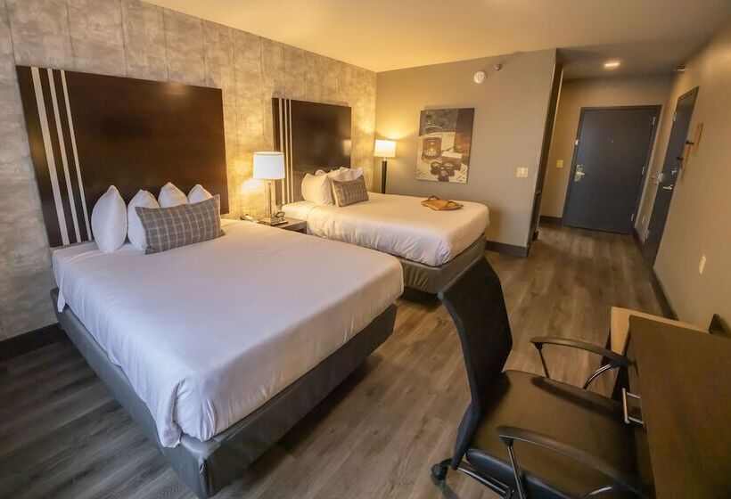 فندق Distill Inn