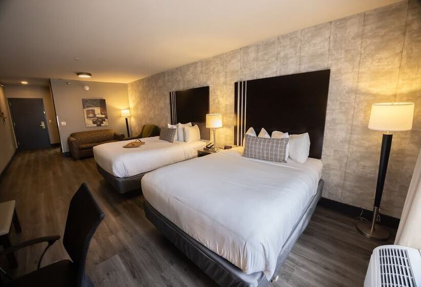 فندق Distill Inn