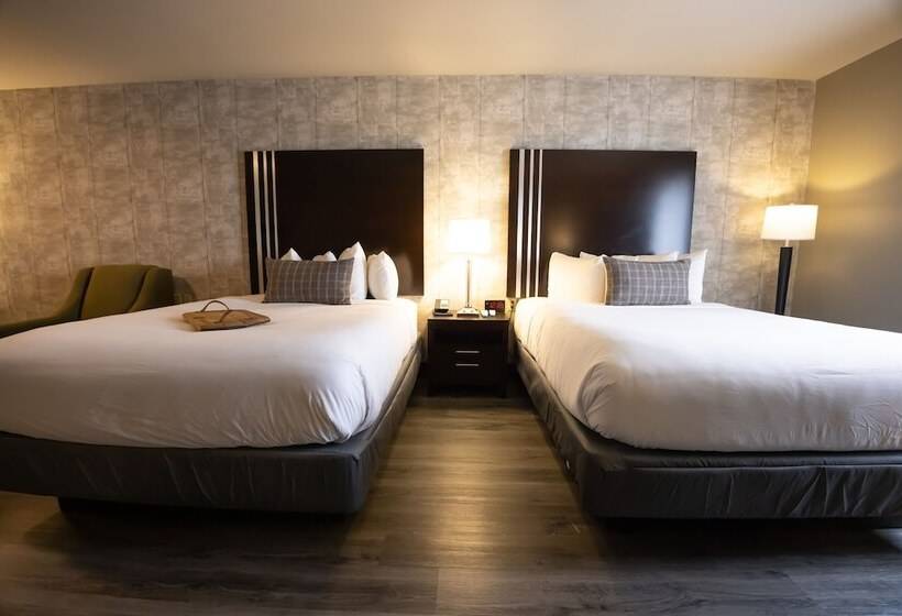 فندق Distill Inn