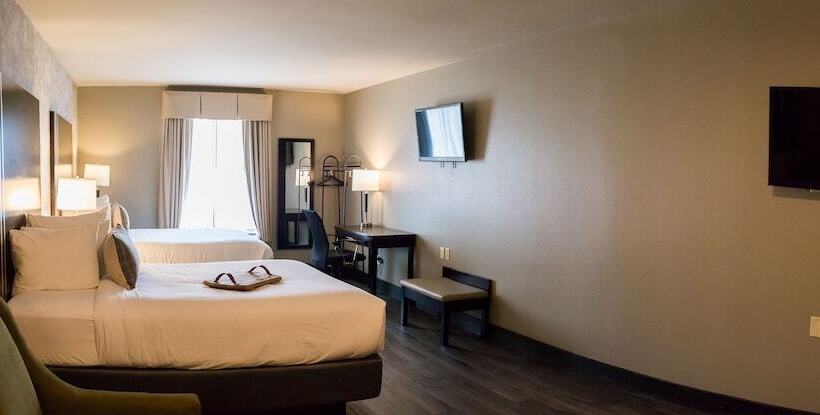 فندق Distill Inn