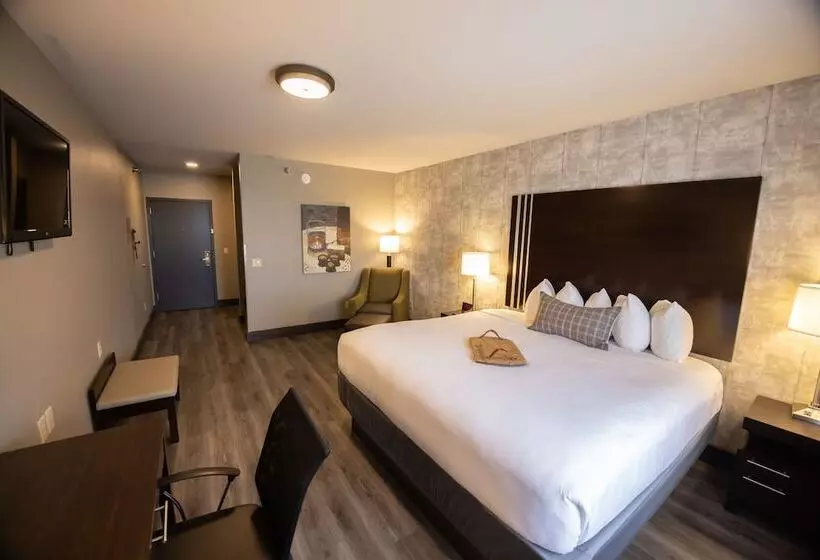 ホテル Distill Inn