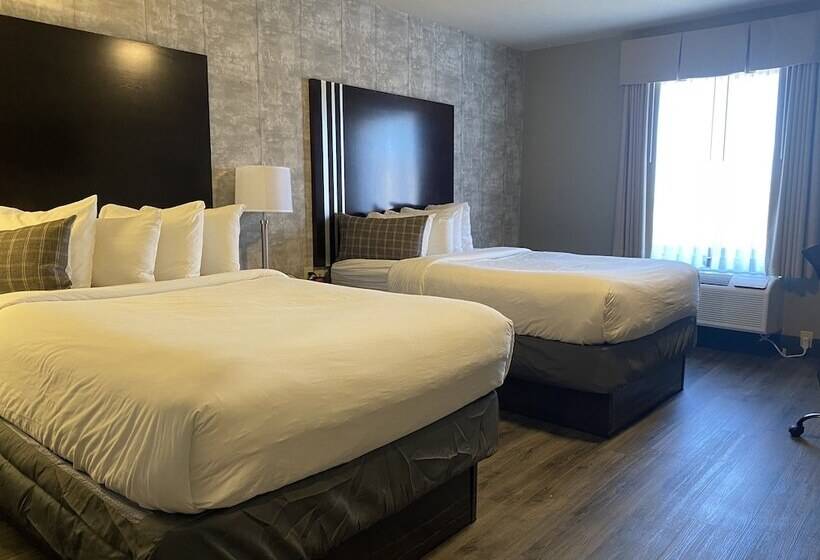 فندق Distill Inn