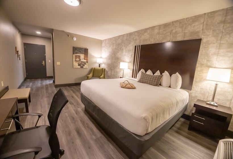 فندق Distill Inn