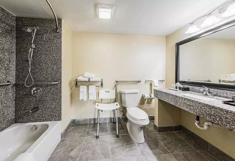 Отель Quality Inn