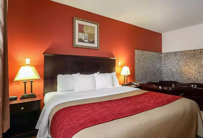 هتل Quality Inn Kingsville Hwy 77