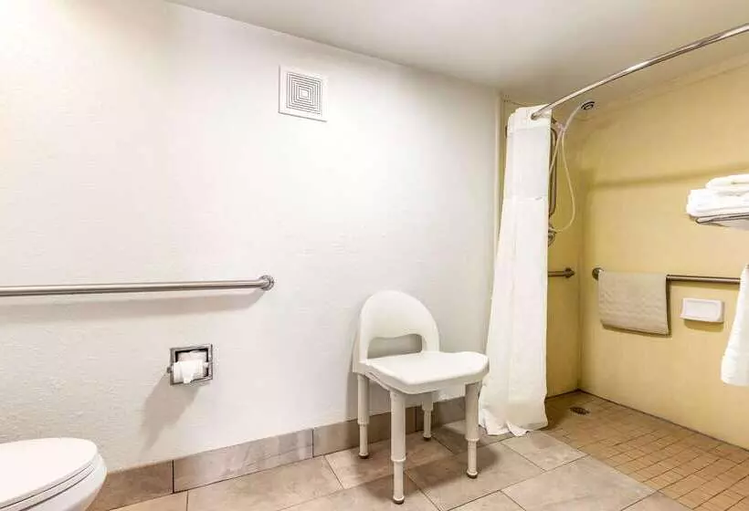 Отель Quality Inn Mobile West Tillmans Corner