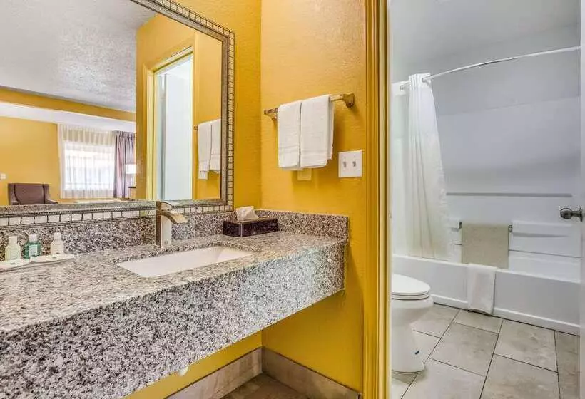 Отель Quality Inn Mobile West Tillmans Corner