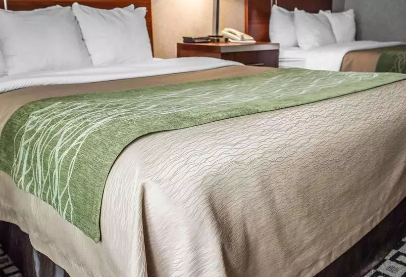 ホテル Quality Inn