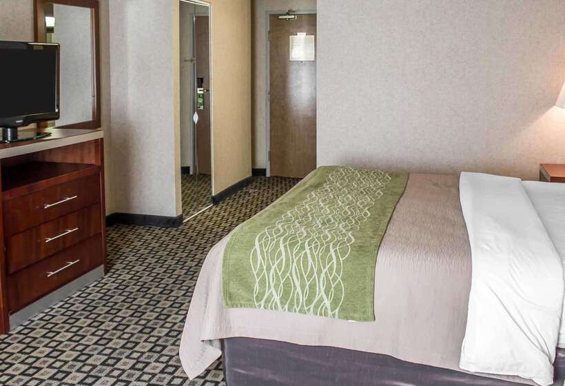 ホテル Quality Inn