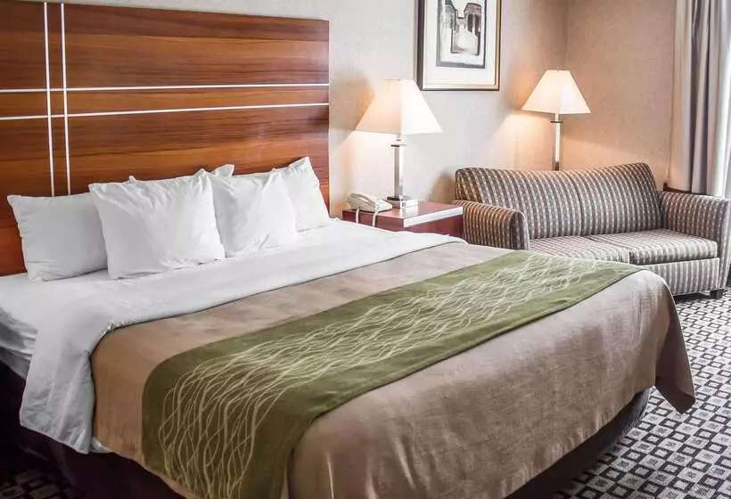 ホテル Quality Inn